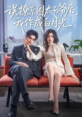 179.和京圈太子爷网恋后（41集）