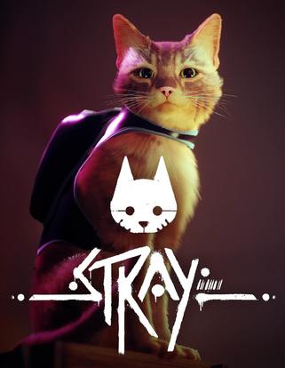 迷失 Stray