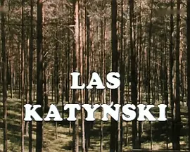 Katyn.2007.卡廷惨案.双语字幕.HR-HDTV.AC3.1024X576.x264-人人影视制作.mkv