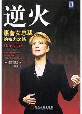 女总裁的终极保镖.txt