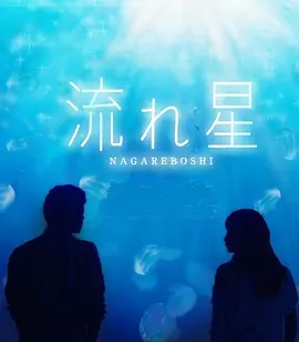 流れ星.mp3
