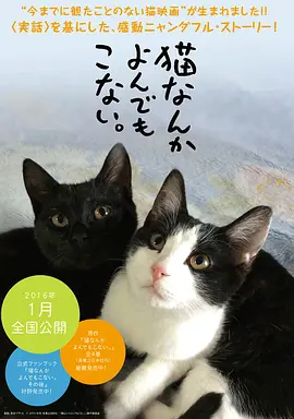 When you come around (当你靠近)-TF家族&TF家族-朱志鑫&TF家族-苏新皓&TF家族-张峻豪&TF家族-余宇涵.flac