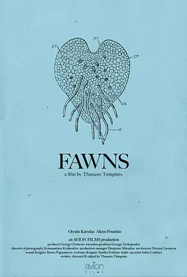 Fawn-呼和.mp3